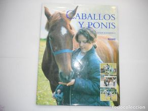 Livros em segunda mão: SANDY RANSFORD Caballos y ponis Y97228